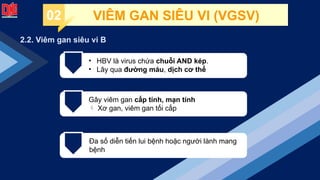 2.2. Viêm gan siêu vi B
• HBV là virus chứa chuỗi AND kép.
• Lây qua đường máu, dịch cơ thể
Gây viêm gan cấp tính, mạn tính
 Xơ gan, viêm gan tối cấp
Đa số diễn tiến lui bệnh hoặc người lành mang
bệnh
02 VIÊM GAN SIÊU VI (VGSV)
 