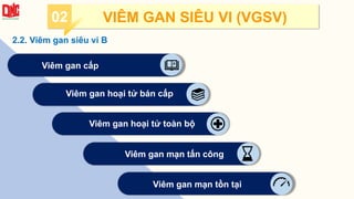 2.2. Viêm gan siêu vi B
Viêm gan cấp
Viêm gan hoại tử bán cấp
Viêm gan hoại tử toàn bộ
Viêm gan mạn tồn tại
Viêm gan mạn tấn công
02 VIÊM GAN SIÊU VI (VGSV)
 