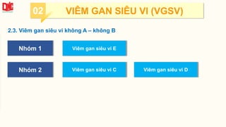 2.3. Viêm gan siêu vi không A – không B
Nhóm 1
Nhóm 2
Viêm gan siêu vi E
Viêm gan siêu vi C Viêm gan siêu vi D
02 VIÊM GAN SIÊU VI (VGSV)
 