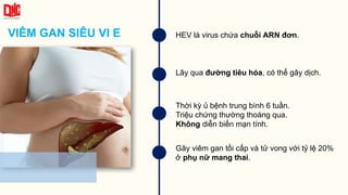 VIÊM GAN SIÊU VI E
Gây viêm gan tối cấp và tử vong với tỷ lệ 20%
ở phụ nữ mang thai.
HEV là virus chứa chuỗi ARN đơn.
Lây qua đường tiêu hóa, có thể gây dịch.
Thời kỳ ủ bệnh trung bình 6 tuần.
Triệu chứng thường thoáng qua.
Không diễn biến mạn tính.
 