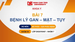 KHOA Y
BÀI 7
BỆNH LÝ GAN – MẬT – TỤY
MÔ PHÔI – GIẢI PHẪU BỆNH
BỘ MÔN
NHÓM SV LỚP DH24YKH07 – NHÓM 7
 