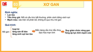 Định nghĩa:
• Lan tỏa
• Tiểu thùy giả: Nốt có cấu trúc bất thường, phân cách bằng vách sợi
• Mạch máu: xáo trộn về phân bố, không đi qua nhu mô gan
Quá trình:
03 XƠ GAN
Mô gan
hoại tử
tăng sản tế bào
tăng sinh sợi lan tỏa
Biến dạng cấu trúc tiểu thùy
Sẹo hóa mạn tính
Suy giảm chức năng gan
Tăng áp lực tĩnh mạch cửa
 