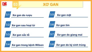 03 XƠ GAN
Xơ gan do rượu
Xơ gan sau hoại tử
Xơ gan sắc tố
Xơ gan trong bệnh Wilson
Xơ gan mật
Xơ gan tim
Xơ gan do giang mai
Xơ gan do ký sinh trùng
3.1
3.2
3.3
3.4
3.5
3.6
3.7
3.8
 