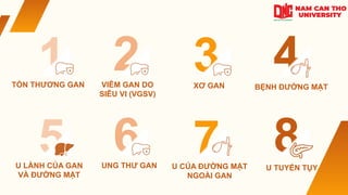 1 2 3 4
5 6 7 8
VIÊM GAN DO
SIÊU VI (VGSV)
XƠ GAN BỆNH ĐƯỜNG MẬT
U LÀNH CỦA GAN
VÀ ĐƯỜNG MẬT
UNG THƯ GAN U CỦA ĐƯỜNG MẬT
NGOÀI GAN
U TUYẾN TỤY
TỔN THƯƠNG GAN
 