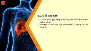 • U lành, hiếm gặp; tăng tỷ lệ cùng với thuốc tránh thai
đường uống.
• Estrogen có thể thúc đẩy hình thành u, nhưng cơ chế
chưa rõ.
5.2.U tế bào gan
 