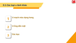 Các bọc
U ống dẫn mật
U mạch máu dạng hang
1
2
3
5.3.Các loại u lành khác
 