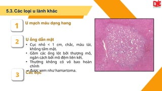 5.3.Các loại u lành khác
Các bọc
U ống dẫn mật
U mạch máu dạng hang
1
2
3
• Cục nhỏ < 1 cm, chắc, màu tái,
không tẩm mật.
• Gồm các ống lót bởi thượng mô,
ngăn cách bởi mô đệm liên kết.
• Thường không có vỏ bao hoàn
chỉnh
→ được xem như hamartoma.
 