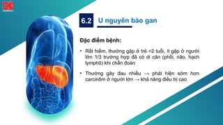 Đặc điểm bệnh:
• Rất hiếm, thường gặp ở trẻ <2 tuổi, ít gặp ở người
lớn 1/3 trường hợp đã có di căn (phổi, não, hạch
lymphô) khi chẩn đoán
• Thường gây đau nhiều → phát hiện sớm hơn
carcinôm ở người lớn → khả năng điều trị cao
U nguyên bào gan
6.2
 