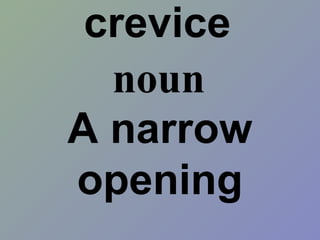 crevice
A narrow
opening
noun