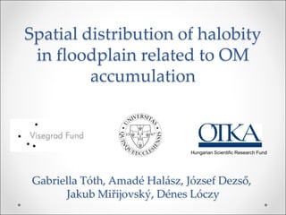 Spatial distribution of halobity
in floodplain related to OM
accumulation
Gabriella Tóth, Amadé Halász, József Dezső,
Jakub Miřijovský, Dénes Lóczy
Hungarian Scientific Research Fund
 