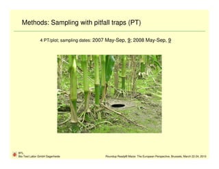 Methods: Sampling with pitfall traps (PT)

               4 PT/plot; sampling dates: 2007 May-Sep, 9; 2008 May-Sep, 9




BTL
Bio-Test Labor GmbH Sagerheide              Roundup Ready® Maize: The European Perspective, Brussels, March 22-24, 2010
 