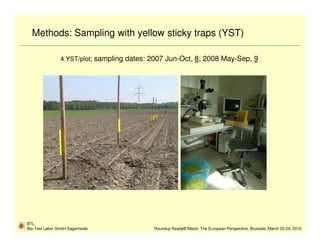 Methods: Sampling with yellow sticky traps (YST)

                4 YST/plot; sampling dates: 2007 Jun-Oct, 8; 2008 May-Sep, 9




BTL
Bio-Test Labor GmbH Sagerheide              Roundup Ready® Maize: The European Perspective, Brussels, March 22-24, 2010
 