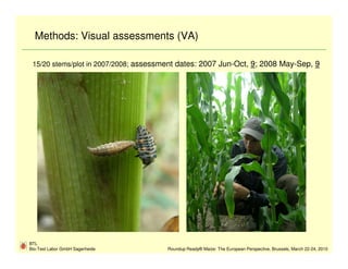 Methods: Visual assessments (VA)

 15/20 stems/plot in 2007/2008; assessment dates: 2007 Jun-Oct, 9; 2008 May-Sep, 9




BTL
Bio-Test Labor GmbH Sagerheide         Roundup Ready® Maize: The European Perspective, Brussels, March 22-24, 2010
 