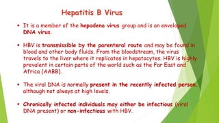  It is a member of the hepadena virus group and is an enveloped
DNA virus.
 HBV is transmissible by the parenteral route and may be found in
blood and other body fluids. From the bloodstream, the virus
travels to the liver where it replicates in hepatocytes. HBV is highly
prevalent in certain parts of the world such as the Far East and
Africa (AABB).
 The viral DNA is normally present in the recently infected person,
although not always at high levels.
 Chronically infected individuals may either be infectious (viral
DNA present) or non-infectious with HBV.
 