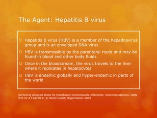 The Agent: Hepatitis B virus
 Hepatitis B virus (HBV) is a member of the hepadnavirus
group and is an enveloped DNA virus
 HBV is transmissible by the parenteral route and may be
found in blood and other body fluids
 Once in the bloodstream, the virus travels to the liver
where it replicates in hepatocytes
 HBV is endemic globally and hyper-endemic in parts of
the world
Screening donated blood for transfusion-transmissible infections: recommendations. ISBN
978 92 4 154788 8, © World Health Organization 2009
 
