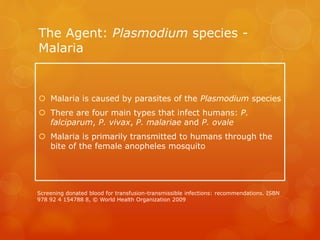 The Agent: Plasmodium species -
Malaria
 Malaria is caused by parasites of the Plasmodium species
 There are four main types that infect humans: P.
falciparum, P. vivax, P. malariae and P. ovale
 Malaria is primarily transmitted to humans through the
bite of the female anopheles mosquito
Screening donated blood for transfusion-transmissible infections: recommendations. ISBN
978 92 4 154788 8, © World Health Organization 2009
 