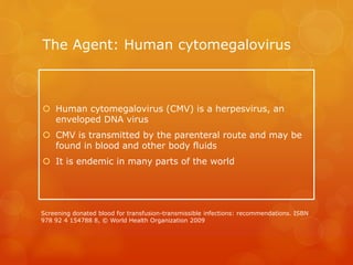 The Agent: Human cytomegalovirus
 Human cytomegalovirus (CMV) is a herpesvirus, an
enveloped DNA virus
 CMV is transmitted by the parenteral route and may be
found in blood and other body fluids
 It is endemic in many parts of the world
Screening donated blood for transfusion-transmissible infections: recommendations. ISBN
978 92 4 154788 8, © World Health Organization 2009
 