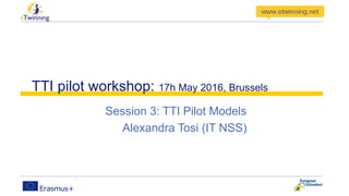 TTI pilot workshop: 17h May 2016, Brussels
Session 3: TTI Pilot Models
Alexandra Tosi (IT NSS)
 