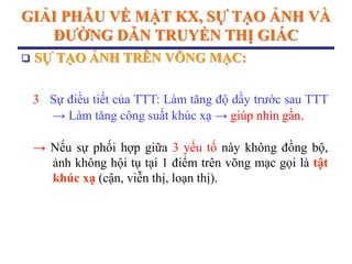 GIẢI PHẪU VỀ MẶT KX, SỰ TẠO ẢNH VÀ
ĐƢỜNG DẪN TRUYỀN THỊ GIÁC
 SỰ TẠO ẢNH TRÊN VÕNG MẠC:
3 Sự điều tiết của TTT: Làm tăng độ dầy trước sau TTT
→ Làm tăng công suất khúc xạ → giúp nhìn gần.
→ Nếu sự phối hợp giữa 3 yếu tố này không đồng bộ,
ảnh không hội tụ tại 1 điểm trên võng mạc gọi là tật
khúc xạ (cận, viễn thị, loạn thị).
 