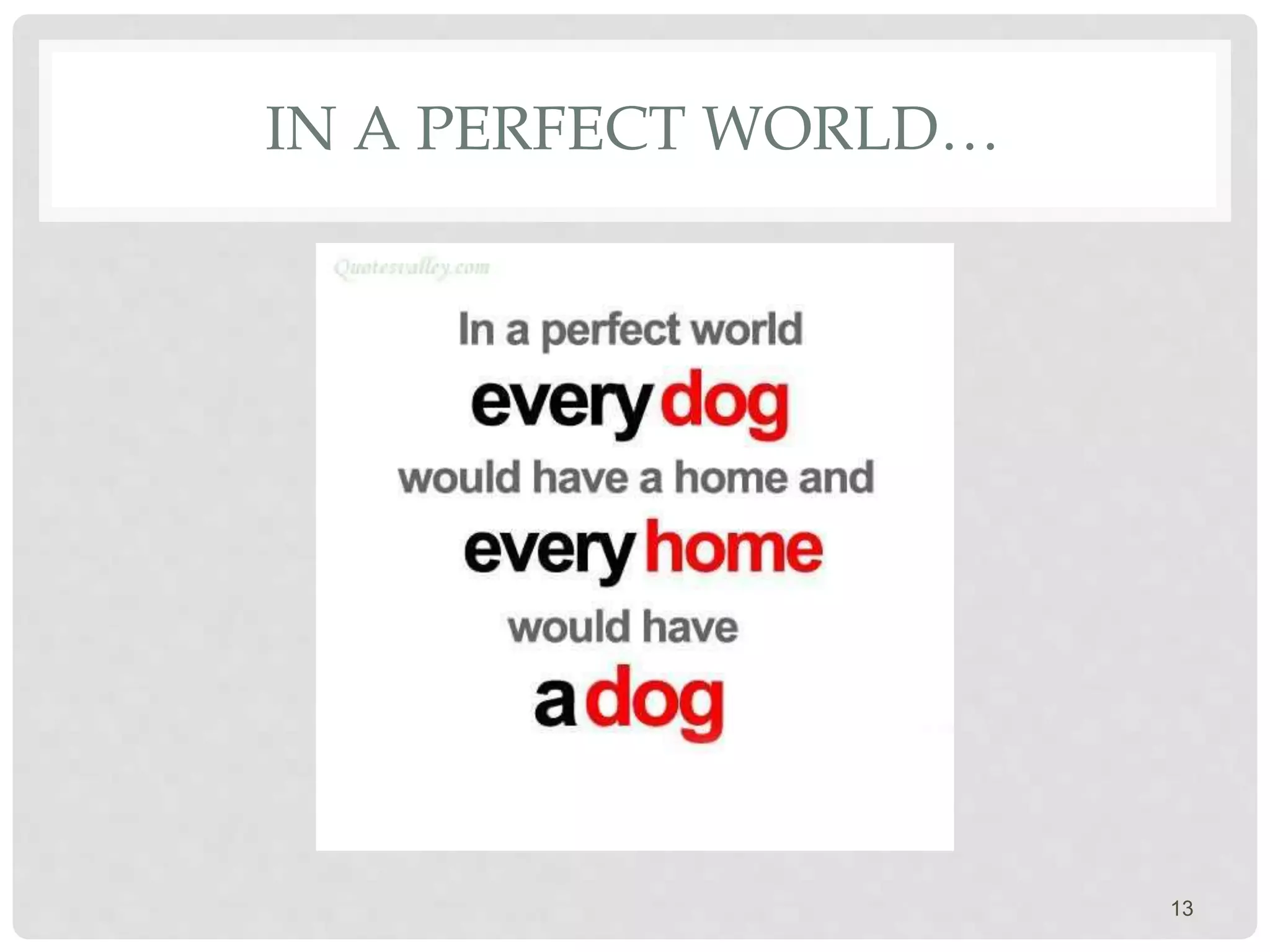 IN A PERFECT WORLD…
13
 