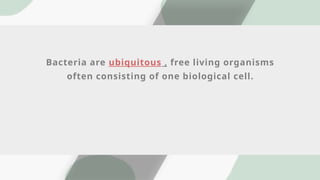 Bacteria are ubiquitous , free living organisms
often consisting of one biological cell.
 