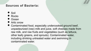 Sources of Bacteria:
 Soil
 Rocks
 Ocean
 Artic snow
 Contaminated food, especially undercooked ground beef,
unpasteurized (raw) milk and juice, soft cheeses made from
raw milk, and raw fruits and vegetables (such as lettuce,
other leafy greens, and sprouts). Contaminated water,
including drinking untreated water and swimming in
contaminated water.
 