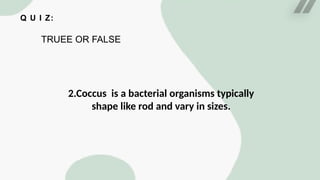 Q U I Z:
TRUEE OR FALSE
2.Coccus is a bacterial organisms typically
shape like rod and vary in sizes.
 
