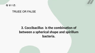 Q U I Z:
TRUEE OR FALSE
3. Coccibacillus is the combination of
between a spherical shape and spirillum
bacteria.
 