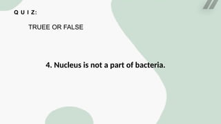 Q U I Z:
TRUEE OR FALSE
4. Nucleus is not a part of bacteria.
 