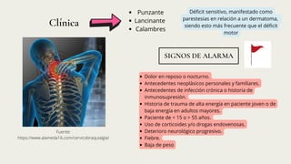 Cervicobralgia.pdf