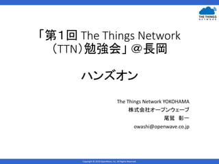 Copyright © 2019 OpenWave, inc. All Rights Reserved.
「第１回 The Things Network
（TTN）勉強会」 ＠長岡
ハンズオン
The Things Network YOKOHAMA
株式会社オープンウェーブ
尾鷲 彰一
owashi@openwave.co.jp
 