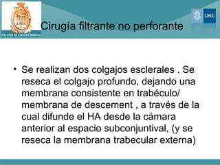 Cirugía filtrante no perforante
• Se realizan dos colgajos esclerales . Se
reseca el colgajo profundo, dejando una
membrana consistente en trabéculo/
membrana de descement , a través de la
cual difunde el HA desde la cámara
anterior al espacio subconjuntival, (y se
reseca la membrana trabecular externa)