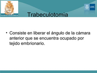 Trabeculotomia
• Consiste en liberar el ángulo de la cámara
anterior que se encuentra ocupado por
tejido embrionario.