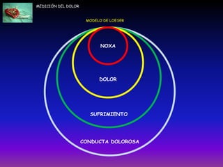 MEDICIÓN DEL DOLOR
CONDUCTA DOLOROSA
SUFRIMIENTO
DOLOR
NOXA
MODELO DE LOESER
 