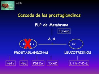 Cascada de las prostaglandinas
FLP de Membrana
PGEPGI2 PGF2 TXA2
LEUCOTRIENOSPROSTAGLANDINAS
LT B-C-D-E
A.A
COX-1-2 LO
FLPasa
AINEs
 