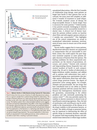 n engl j med 373;22 nejm.org November 26, 20152150
The new engl and jour nal of medicine
unexplained observations. After the first 2 months
of combination drug therapy, most patients no
longer have bacilli in their sputum that can be
cultured, but many must still complete an addi-
tional 4 months of treatment to avoid relapse.
The 6-month standard course of therapy for
drug-susceptible disease is clearly longer than
is necessary for some patients.5-8
Unfortunately,
it has proved extremely challenging to identify
which patients can be successfully treated for a
shorter time. A clinical trial of shorter treat-
ment for patients without cavities on baseline
chest films and with negative sputum cultures at
2 months was unsuccessful.13
This highlights
one of the central compromises we accept in
standardized tuberculosis treatment: overtreat-
ment of many cases to ensure cure of the overall
population.
Recent studies suggest that in many patients,
Mycobacterium tuberculosis bacteria are sequestered
in compartments that are inaccessible to anti-
biotic action; this could explain the poor long-
term treatment response in some patients de-
spite clearance of bacteria from the sputum. The
leading candidates for these sequestered com-
partments are the interior of granulomas, ab-
scesses, and cavities.14
Patients with extensive
and long-standing disease frequently have sub-
stantial numbers of bacilli in such compart-
ments (Fig. 1B and 2). Studies of tuberculosis in
higher-vertebrate models (monkeys and rabbits)
and in patients with tuberculosis have used a
specialized imaging mass spectrometer that pro-
vides spatial information about how well tuber-
culosis drugs penetrate lesions. The degree of
penetration varies among agents. For example,
rifampin and pyrazinamide, the two drugs that
have contributed most to our ability to shorten
treatment, penetrate well into caseous foci. Moxi-
floxacin has heterogeneous distribution across
the granuloma, concentrating in the cellular
periphery and only minimally penetrating the
caseous center15-17
; this may partially explain the
inability to shorten treatment in clinical trials of
moxifloxacin-containing regimens. Thus, the lack
of sterilization with moxifloxacin may be attrib-
utable to the characteristics of the disease or to
the drug’s inability to kill persistent bacteria, or
to both. The ability of drugs to penetrate lesions
may be important in determining the effect of
specific drugs on treatment duration, especially
for patients with long-standing disease and sub-
stantial tissue destruction in whom large numbers
Figure 1. Biphasic Decline in Viable Bacteria during Treatment for Tuberculosis.
Panel A shows the time course of decline of viable Mycobacterium tubercu-
losis in a sputum sample from a patient being treated for tuberculosis. The
number of bacteria declines at a rapid rate during the early phase of thera­
py (blue curve), with a less rapid rate of decline during the later phase (red
curve). The biphasic pattern that is observed (black dashed curve) suggests
that there are bacterial subpopulations that differ in their drug susceptibility.
CFU denotes colony­forming units. Panel B shows two proposed explana­
tions for this differential response: persistent bacilli and persistent disease.
The first explanation is that bacteria in a replicating state (blue) are more
susceptible to drugs than are bacteria in a nonreplicating state (red), which
can persist despite drug treatment. The second explanation is that some
bacilli are sequestered in thick­walled granulomas, where antibiotics are
not able to reach them, resulting in persistent disease.
Persistent bacilli theory
Persistent disease theory
Thick-walled granuloma
Actively replicating bacilli
Nonreplicating bacilli
TREATMENT
BacteriainSputum(log10CFU/ml)
Time Course during Treatment
A
B
The New England Journal of Medicine
Downloaded from nejm.org on January 4, 2016. For personal use only. No other uses without permission.
Copyright © 2015 Massachusetts Medical Society. All rights reserved.
 