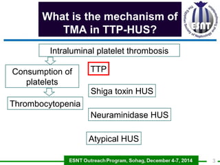 What is the mechanism of 
TMA in TTP-HUS? 
Intraluminal platelet thrombosis 
Consumption of 
platelets 
Thrombocytopenia 
...