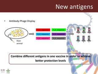 Vaccines against East Coast fever: Re-assessment of p67C and identification of new antigens