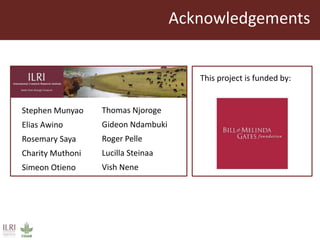 Vaccines against East Coast fever: Re-assessment of p67C and identification of new antigens