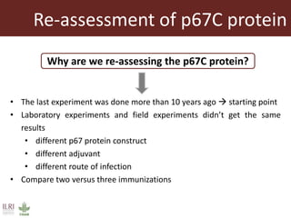Vaccines against East Coast fever: Re-assessment of p67C and identification of new antigens