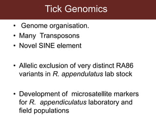 Tick research at ILRI