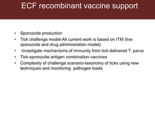 Tick research at ILRI
