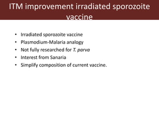 Tick research at ILRI