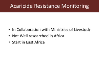 Tick research at ILRI