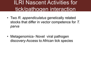 Tick research at ILRI