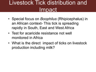 Tick research at ILRI
