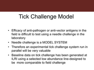 Tick research at ILRI