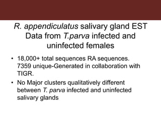 Tick research at ILRI