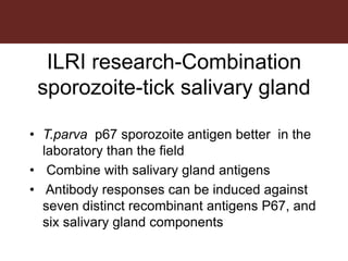 Tick research at ILRI