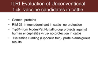 Tick research at ILRI